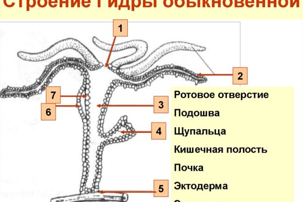 Как сделать заказ на кракен