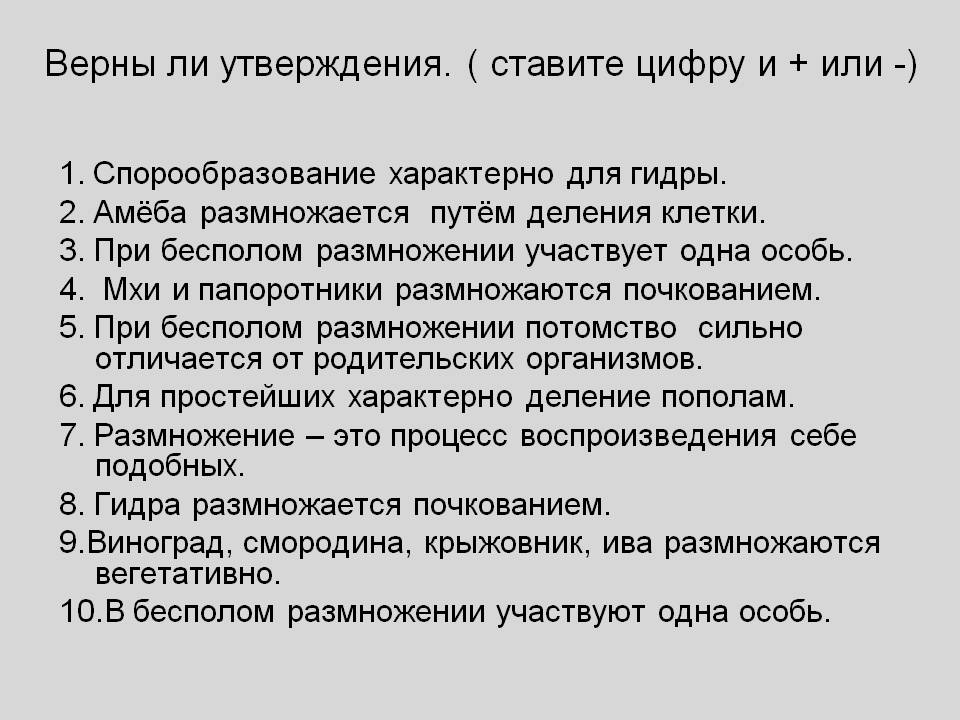 Оригинальный сайт кракен