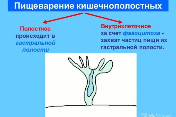 Гидра в даркнете