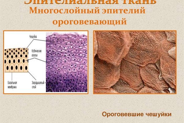 Почему в кракене пользователь не найден