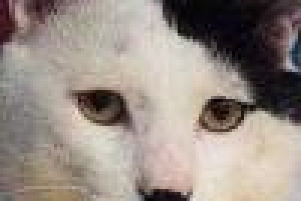 Кракен купить наркоту