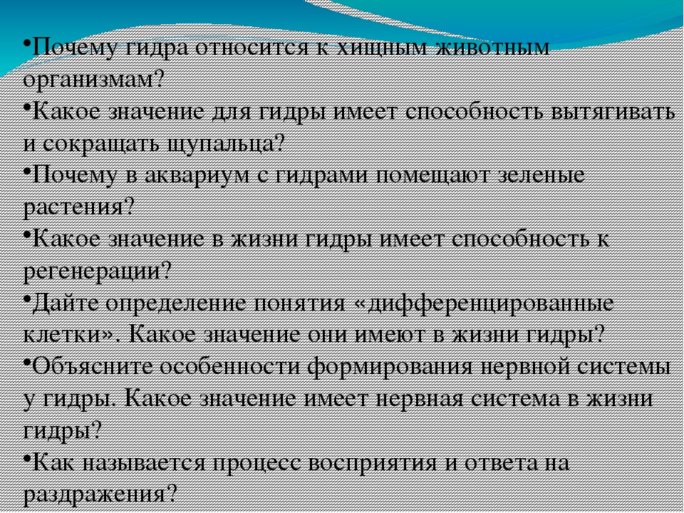 Маркетплейс кракен kraken